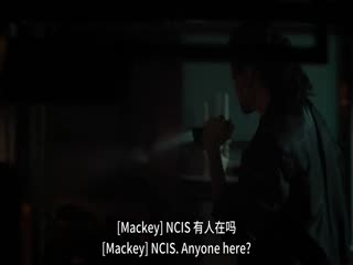 海军罪案调查处：悉尼 第二季
