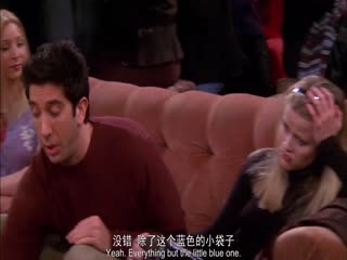 老友记  第六季