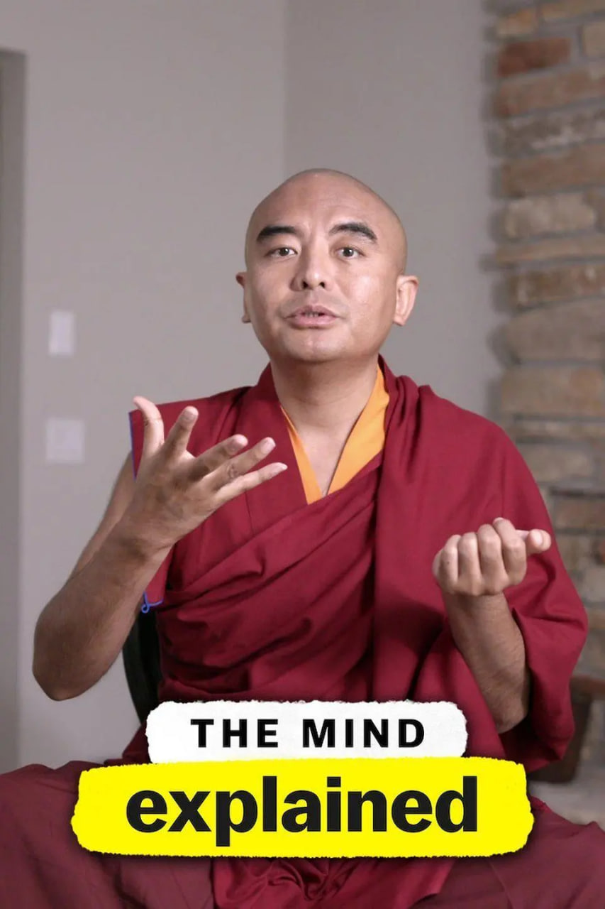 头脑解密 第一季