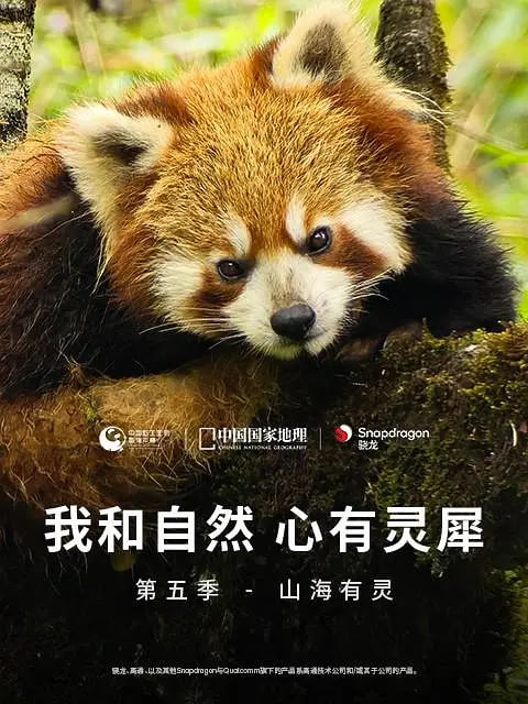 《我和自然 心有灵犀》第五季 - 山海有灵